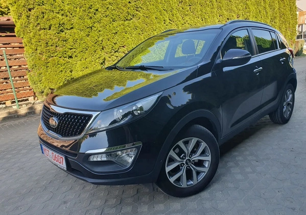 Kia Sportage cena 55950 przebieg: 58920, rok produkcji 2014 z Kędzierzyn-Koźle małe 562